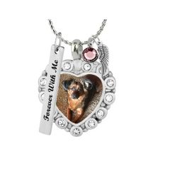 Pet Color Photo Crystal Heart Locket Urn - Cat or Dog - Love Charms® Option