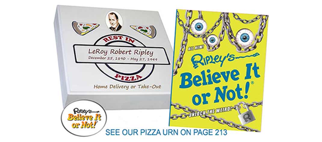 Pizza Box Cremation Urn