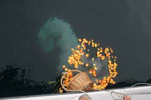 Water scattering cremation service.
