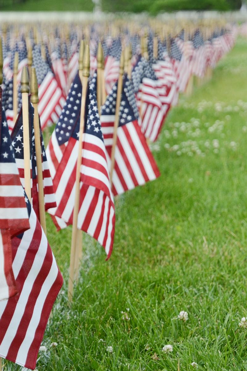 Multiple miniature American flags, displayed on memorial
