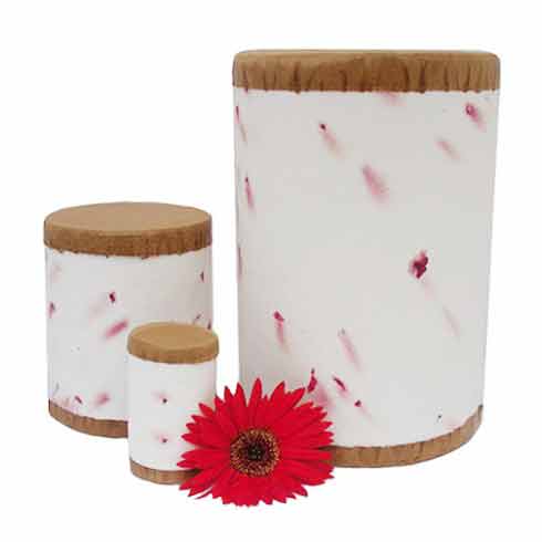 Biodegradable Cremation Urn.
