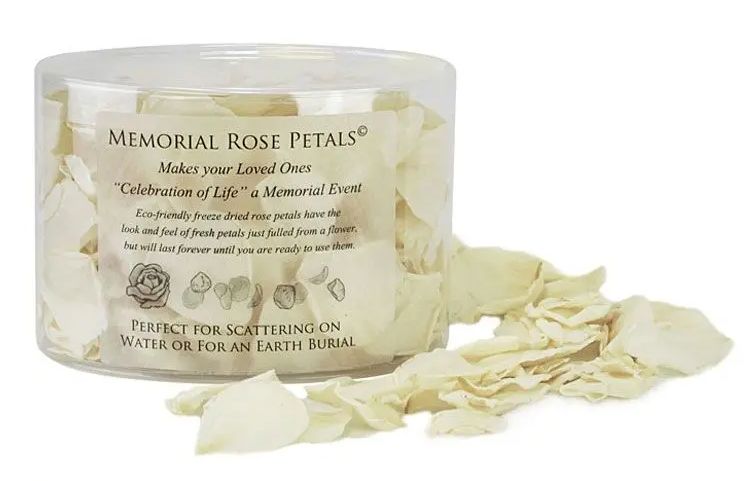 The Memorial Rose Petals© Sorrowful Ivory are beautiful white to ivory petals in color, which are a perfect color for anyone as they pure in sorrowful mourning. They look and feel like fresh petals for weeks.